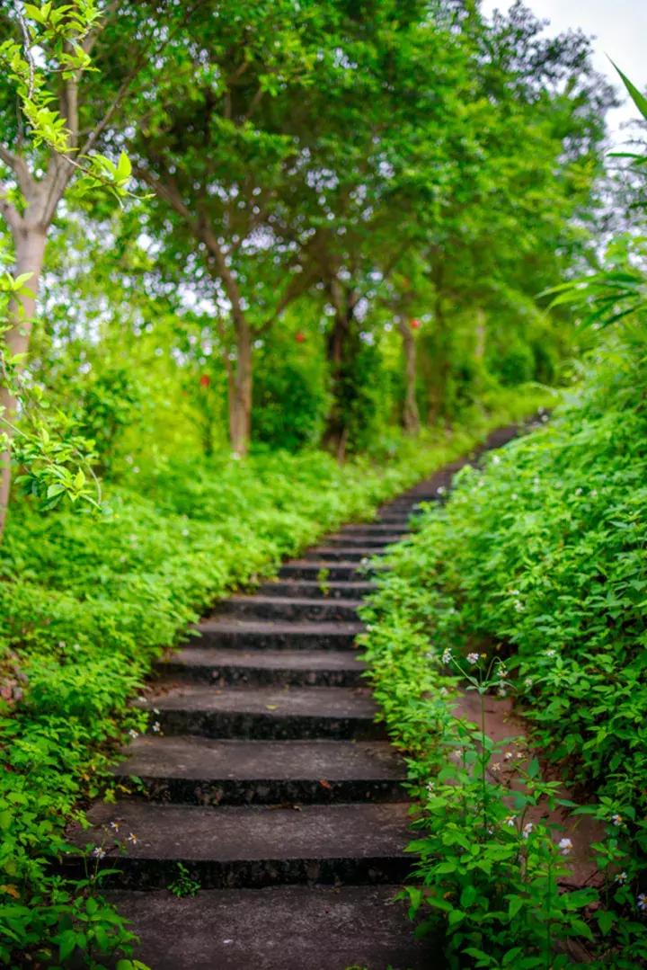 清远奇石河风景区简介_清远市奇石市场在哪里_清远奇石公园