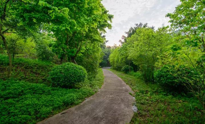 清远市奇石市场在哪里_清远奇石公园_清远奇石河风景区简介